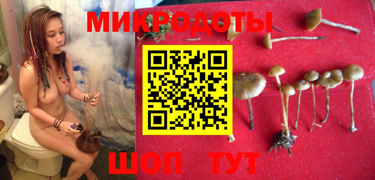 Галлюциногенные грибы Psilocybe  Вход с VPN  Реж 