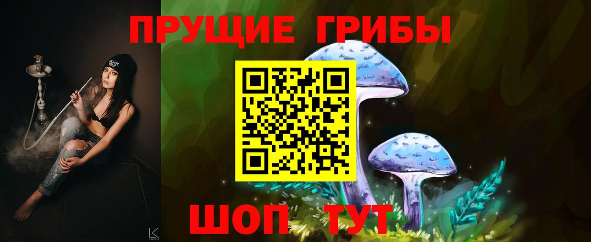 Псилоцибиновые грибы Psilocybe Реж
