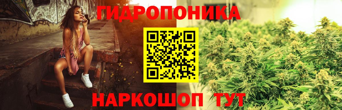 Шишки марихуана гибрид  Вход с VPN  Каннабис VHQ  Марихуана LSD WEED  Реж  МАРИХУАНА AK-47 